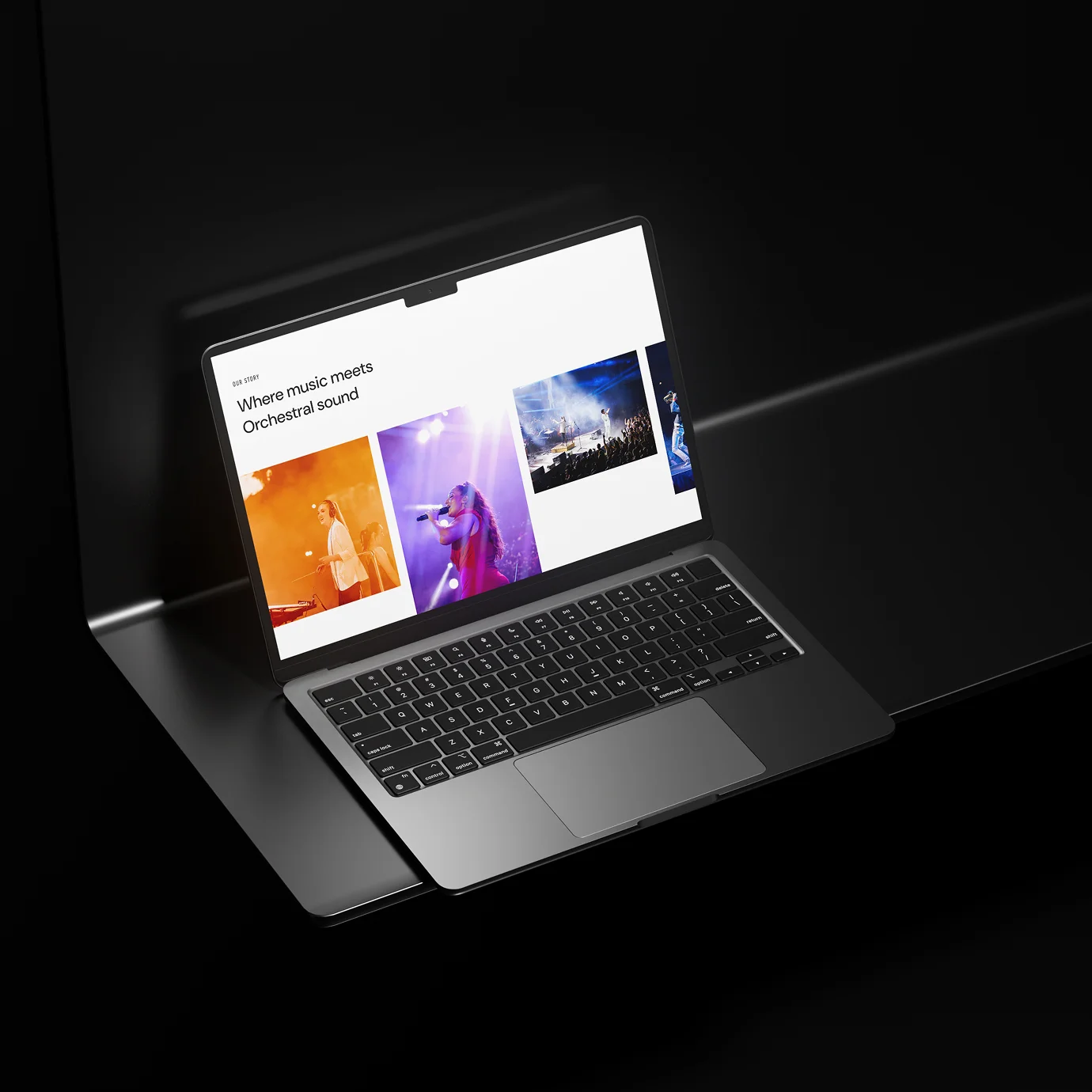 Discover Premier Web Design Services in Tauranga