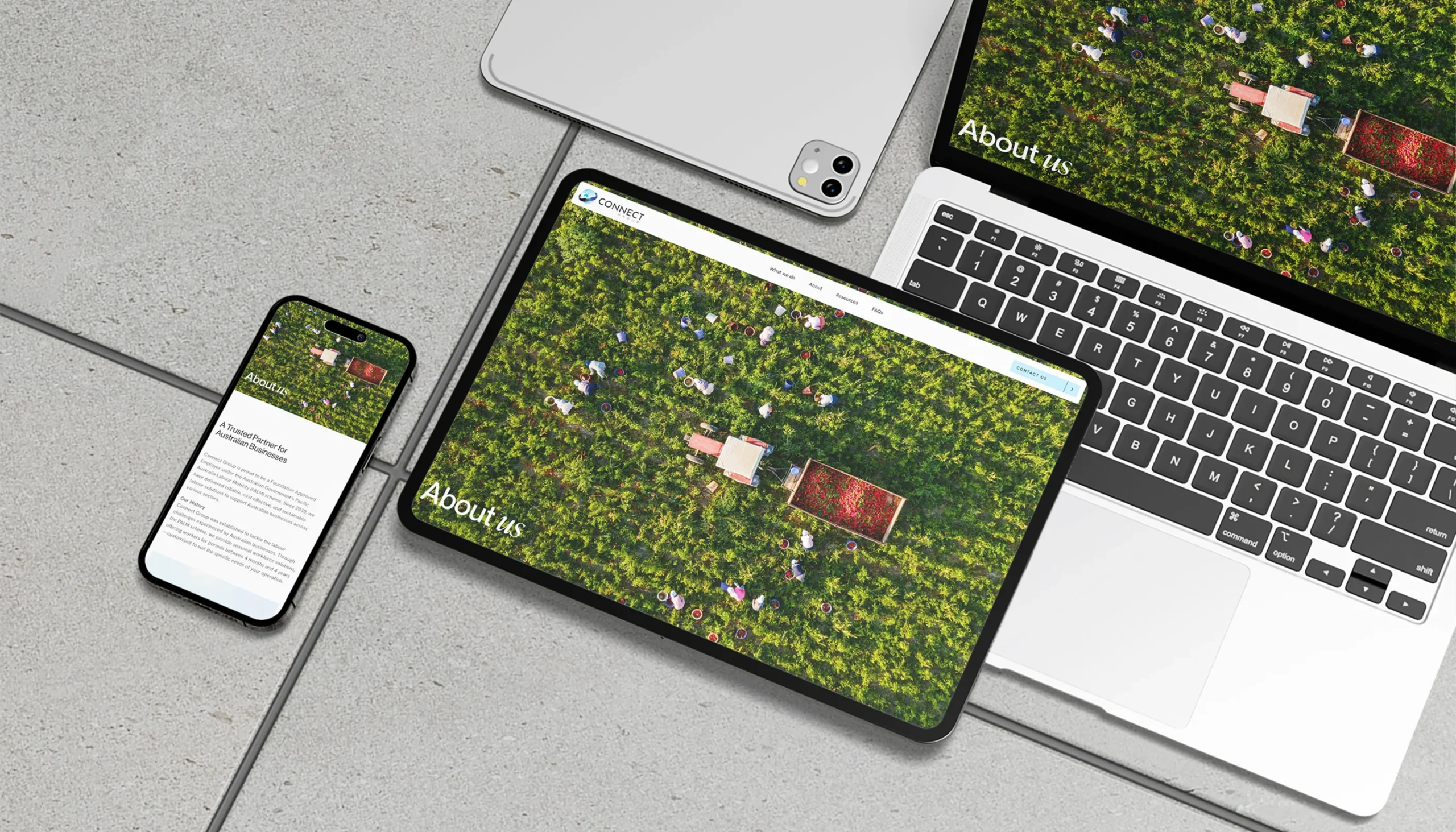 Agribusiness website design created to communicate expertise, build trust, and support customer enquiries.