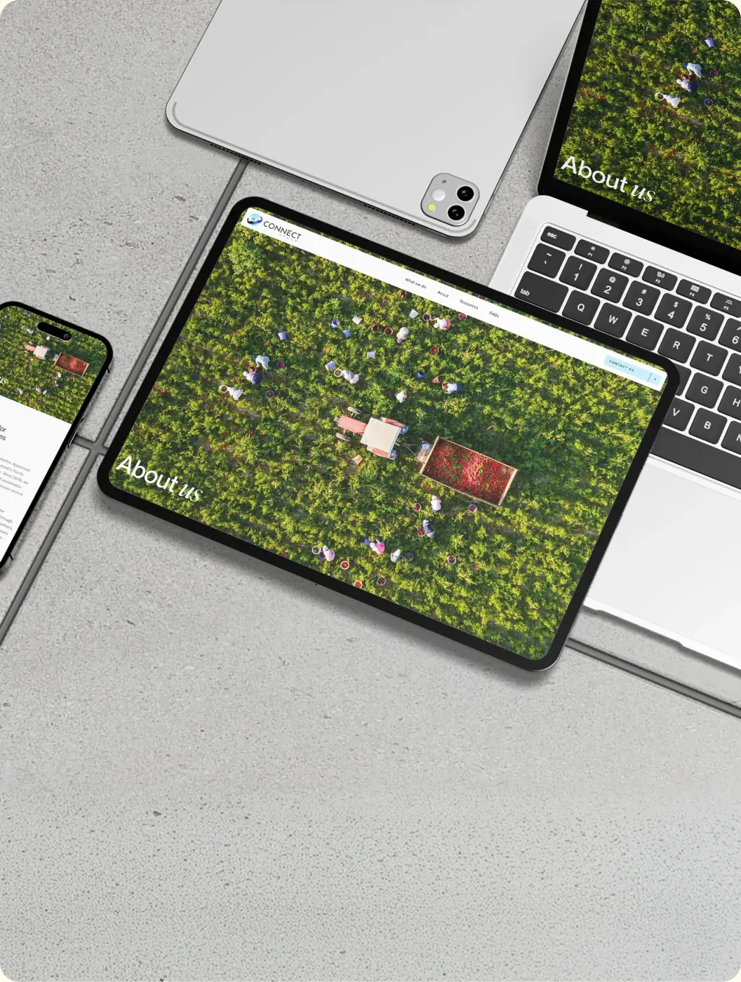 Image and asset optimisation
